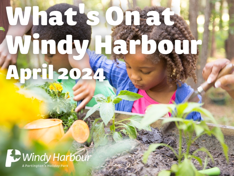  Here is your April 2024 entertainment at Windy Harbour Holiday Park 