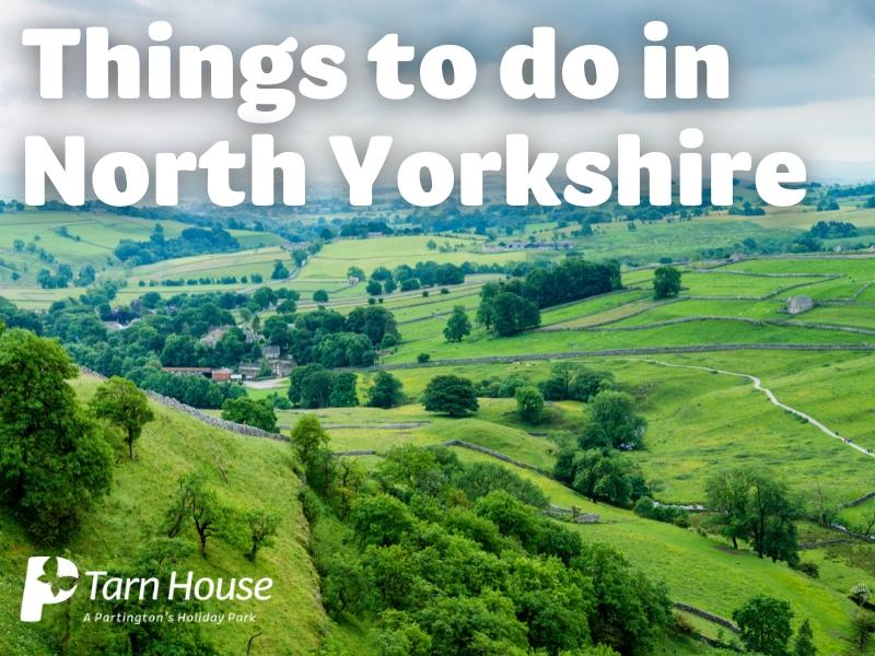 things to do in North Yorkshire
