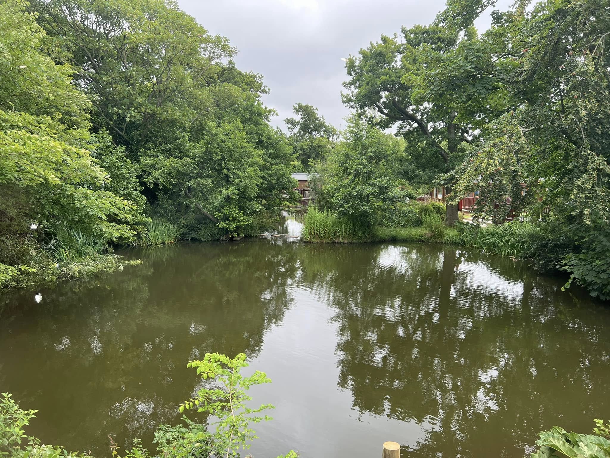 View of pond from Mapleton Lodge 2022