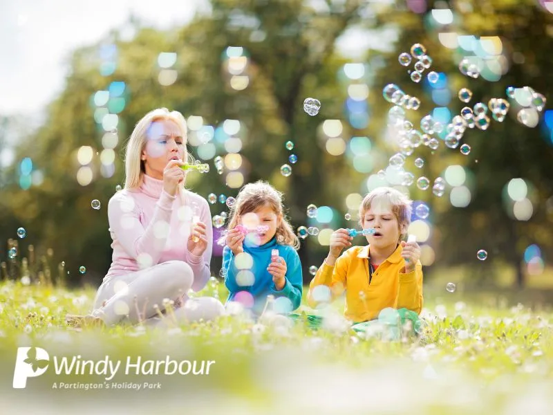 Windy Harbour | What’s On, August 2025