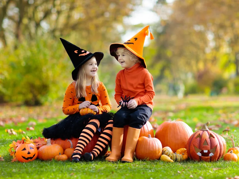 Black Beck Halloween | October 31st