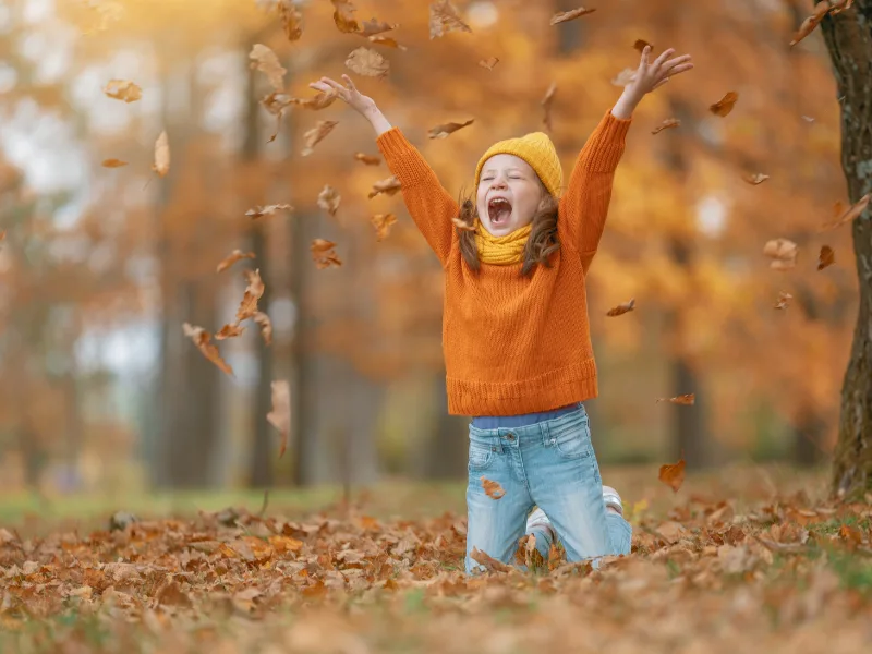 Broadwater | What’s On, November 2025