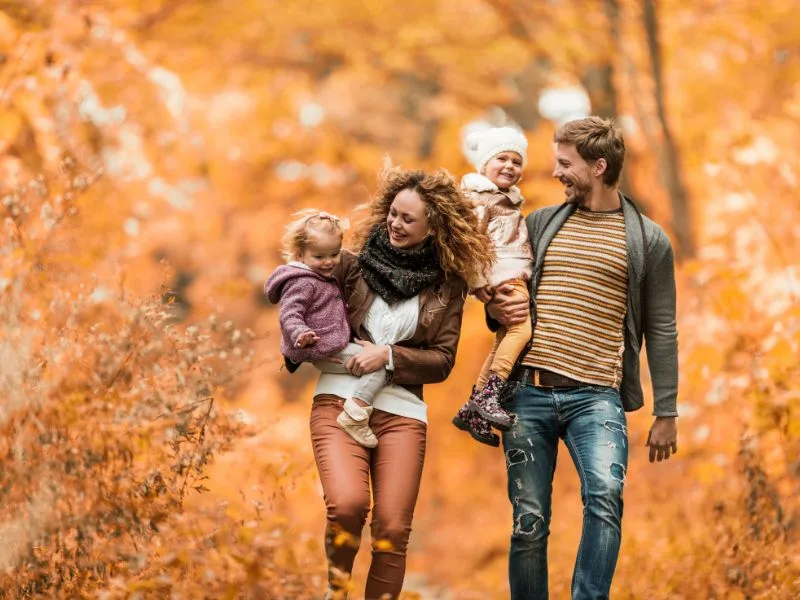 Newton Hall | What’s On, November 2025