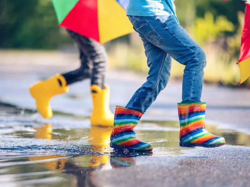 Newton Hall | What’s On, March 2026