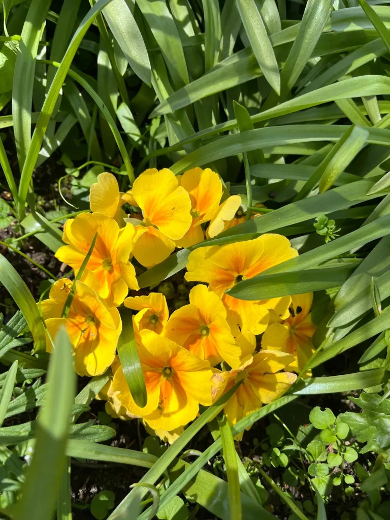 Broadwater | What’s On, May 2026