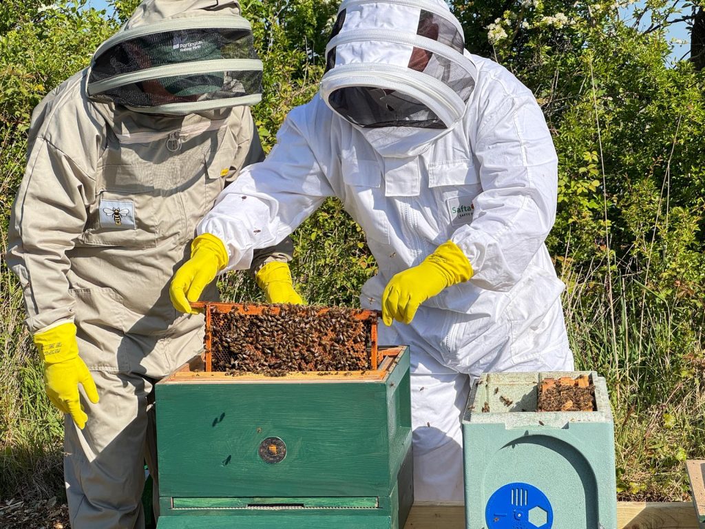 There’s a real buzz at Windy Harbour Holiday Park for World Bee Day this May