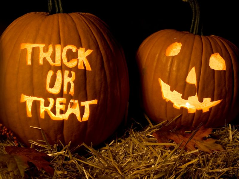 Black Beck | What’s On This Halloween – 2026